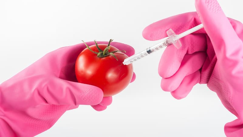 expecthimcom's tweet photo. 耶和華造的萬物都是好的，科學為什麼非要把神造的萬物給變變呢？
分享一篇「科學產物危及人類生命，人該往何處求生？」
https://t.co/Y47y86y0Ph
＃科學 ＃耶和華 ＃水果 ＃萬物 https://t.co/X3F01mVaUo
