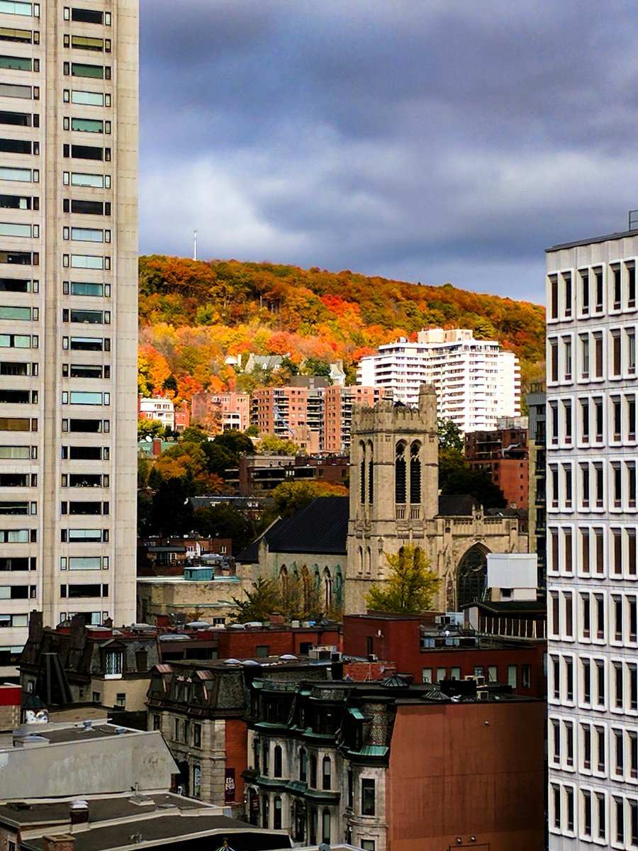 🍂🍁🍃

#HereForTheView #Fall #Montreal #MTL #Seasons #Colors #Concordia #Leaves