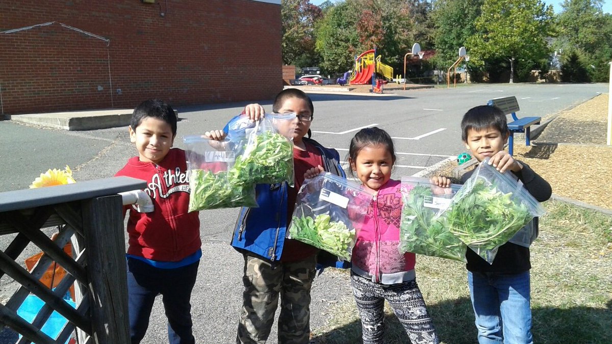 Jackie Pippins (@barcroftlibrary) on Twitter photo Harvesting lettuce and language in #BRCPride ESOL-HILT garden. #APSisawesome <a href="/APSVirginia/">Arlington Public Schools</a> <a href="/APS_EarlyChild/">APS Office of Early Childhood</a> <a href="/CBounet/">Colette Bounet</a> @teachnpe @msarroyotweets Harvesting lettuce and language in #BRCPride ESOL-HILT garden. #APSisawesome <a href="/APSVirginia/">Arlington Public Schools</a> <a href="/APS_EarlyChild/">APS Office of Early Childhood</a> <a href="/CBounet/">Colette Bounet</a> @teachnpe @msarroyotweets