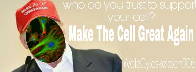CytoskeleTrump's tweet photo. Your vote will #MakeTheCellGreatAgain
Be smart and do your part and #VoteCytoskeleton2016 #organellewars https://t.co/TCKO1BYL2d