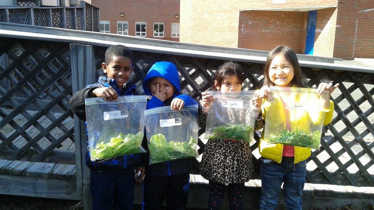 Jackie Pippins (@barcroftlibrary) on Twitter photo Look what we grew! Lettuce & language in #BRCPride ESOL-HILT garden! <a href="/APSVirginia/">Arlington Public Schools</a> <a href="/Grade1ESL/">Janet Dorn</a> <a href="/cbounet/">Colette Bounet</a>
@msarroyotweets <a href="/School_Of_Fisch/">Nicole Fischer</a> Look what we grew! Lettuce & language in #BRCPride ESOL-HILT garden! <a href="/APSVirginia/">Arlington Public Schools</a> <a href="/Grade1ESL/">Janet Dorn</a> <a href="/cbounet/">Colette Bounet</a>
@msarroyotweets <a href="/School_Of_Fisch/">Nicole Fischer</a>