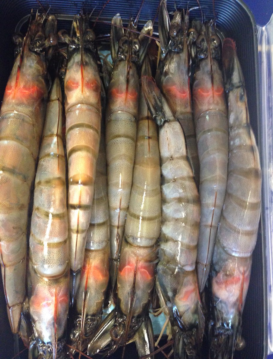 Kualoa Ranch shrimp, love the way they pack them. Give them a try when visiting #Oahu.