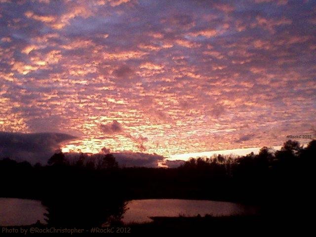 Take time to treasure the things you treasure. Admire, 
appreciate &amp; be inspired by all that is beautiful to you. 

#JoYTrain 

#Photo by #RockC