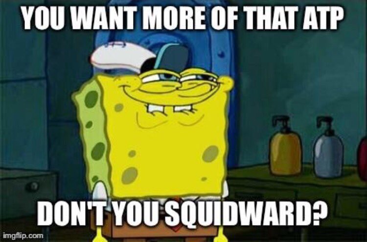 Mitochondria_GO's tweet photo. ATP supplies not only you, but also Squidward with energy. Beat that https://t.co/zrXofPH15a