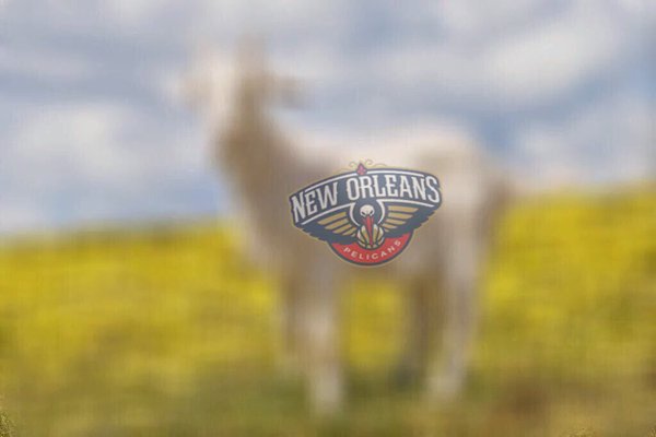 ESPNNBA's tweet photo. Anthony Davis:

50 Pts
16 Reb
5 Ast
7 Stl
4 Blk https://t.co/y0CSb9b3YT