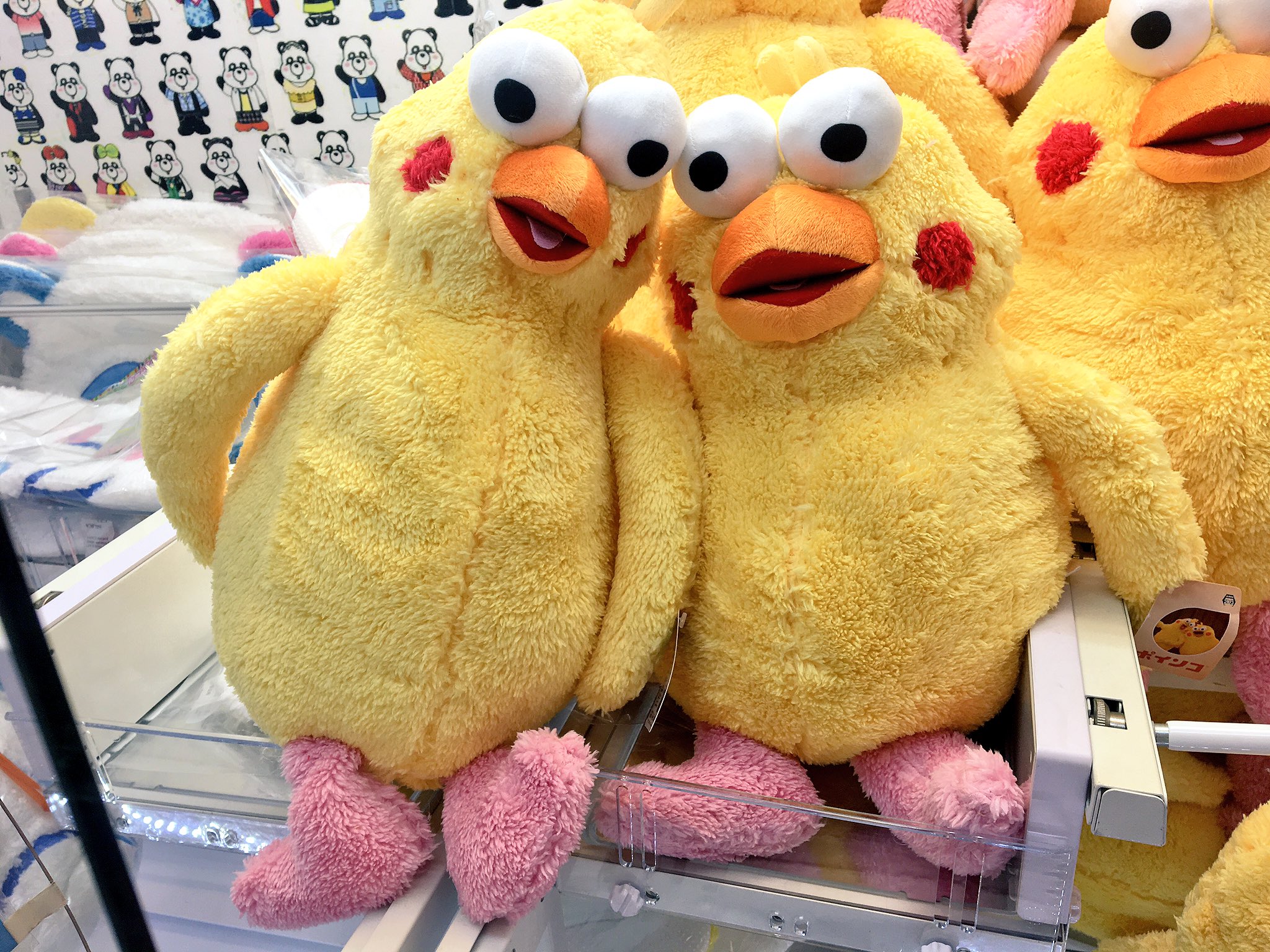 公式 アドアーズ渋谷店 ポインコ Cmでお馴染みの ポインコ兄弟 の大きなぬいぐるみが登場しました 明日からはクレーンゲーム初登場記念イベントも開始されるので ぜひ参加されてみてください ˊᗜˋ アドアーズ 渋谷 T