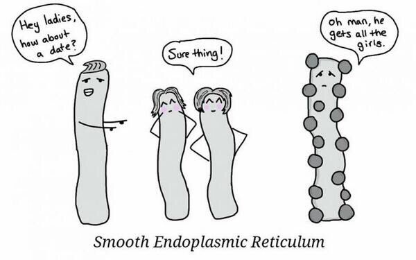 sm00thER101's tweet photo. I tried telling you before, you're the ugly twin but it's okay.... #votesmooth @roughERrules https://t.co/ySDQdchg2O