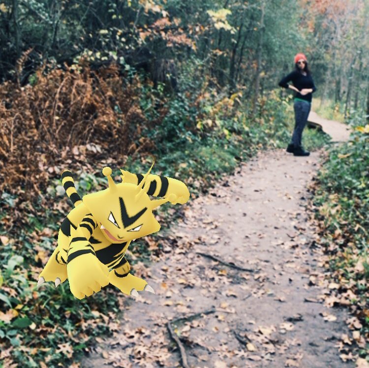 Geocachingvlogs's tweet photo. Hey #Electrobuzz. Let me through. #pokemongo #geocaching #munzee https://t.co/wt8iaA6wi4