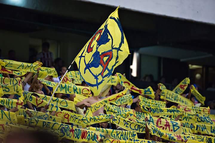 vanessaCFG's tweet photo. Vamos América #ElClasicoSeraAzulCrema https://t.co/kEmX8RYLYv