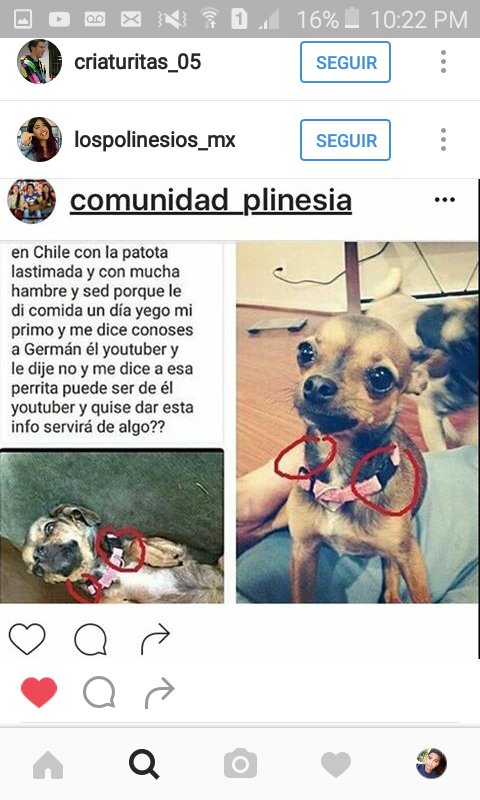 AnimalsMIMII's tweet photo. Aquí comparto esta foto para que haber si me pueden decir como contactar a german germendia 
Y si dicen que esto es de Google miren bien https://t.co/LWhUr5K0Jy