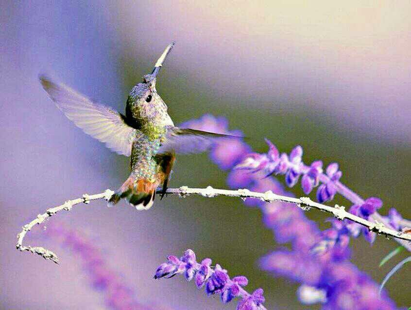 Just_Jacque_'s tweet photo. Love to you All! Blessings! Peace! May you have everything you need! Be generous! Be kind! Be Happy! Live Life! Live Free! Have you ever ... https://t.co/VEl232Meqb