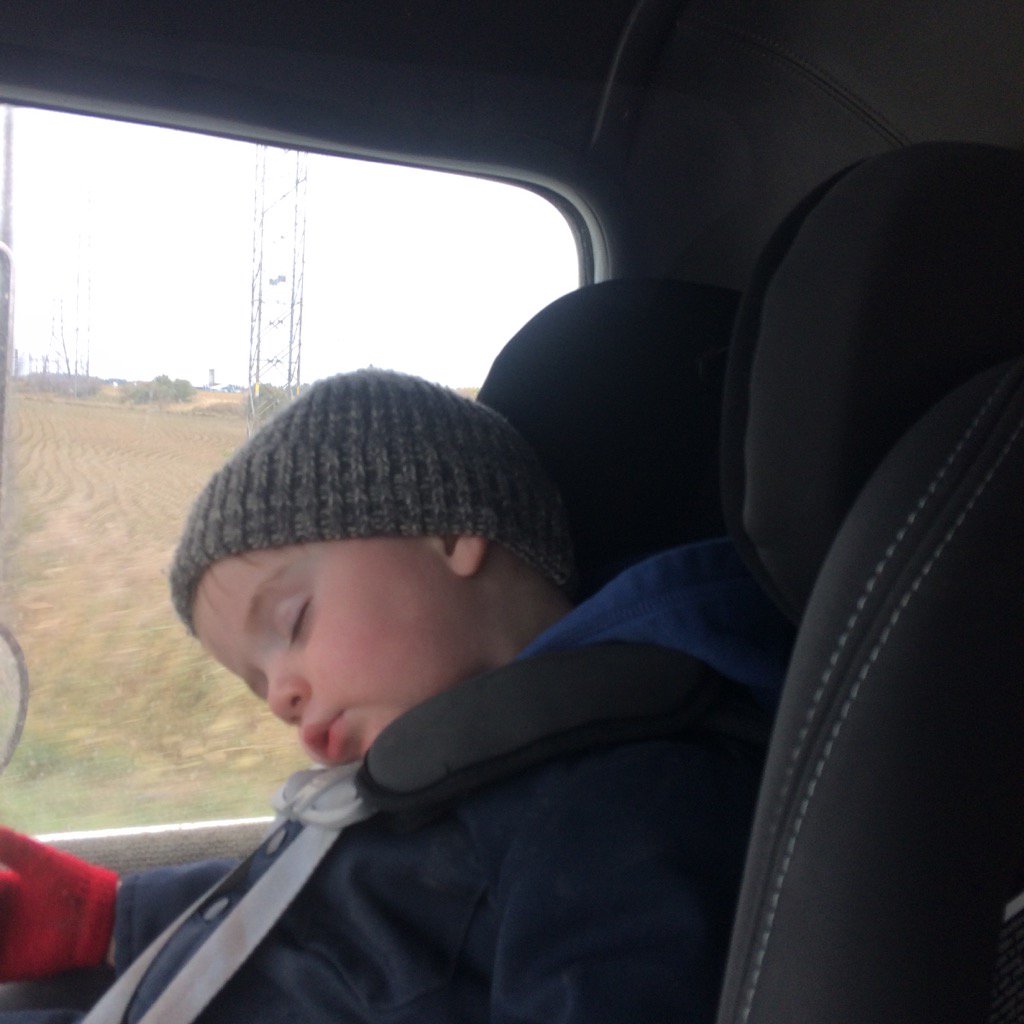 Mark4016's tweet photo. Harvest helper #naptimeinthegraintruck https://t.co/ySEOhdBDxh