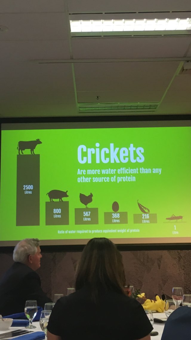 Jiminy-cricket - the new superfood: crickets!! #GCLaunchpad <a href="/CricketEffect/">The Cricket Effect</a> what a brilliant concept!