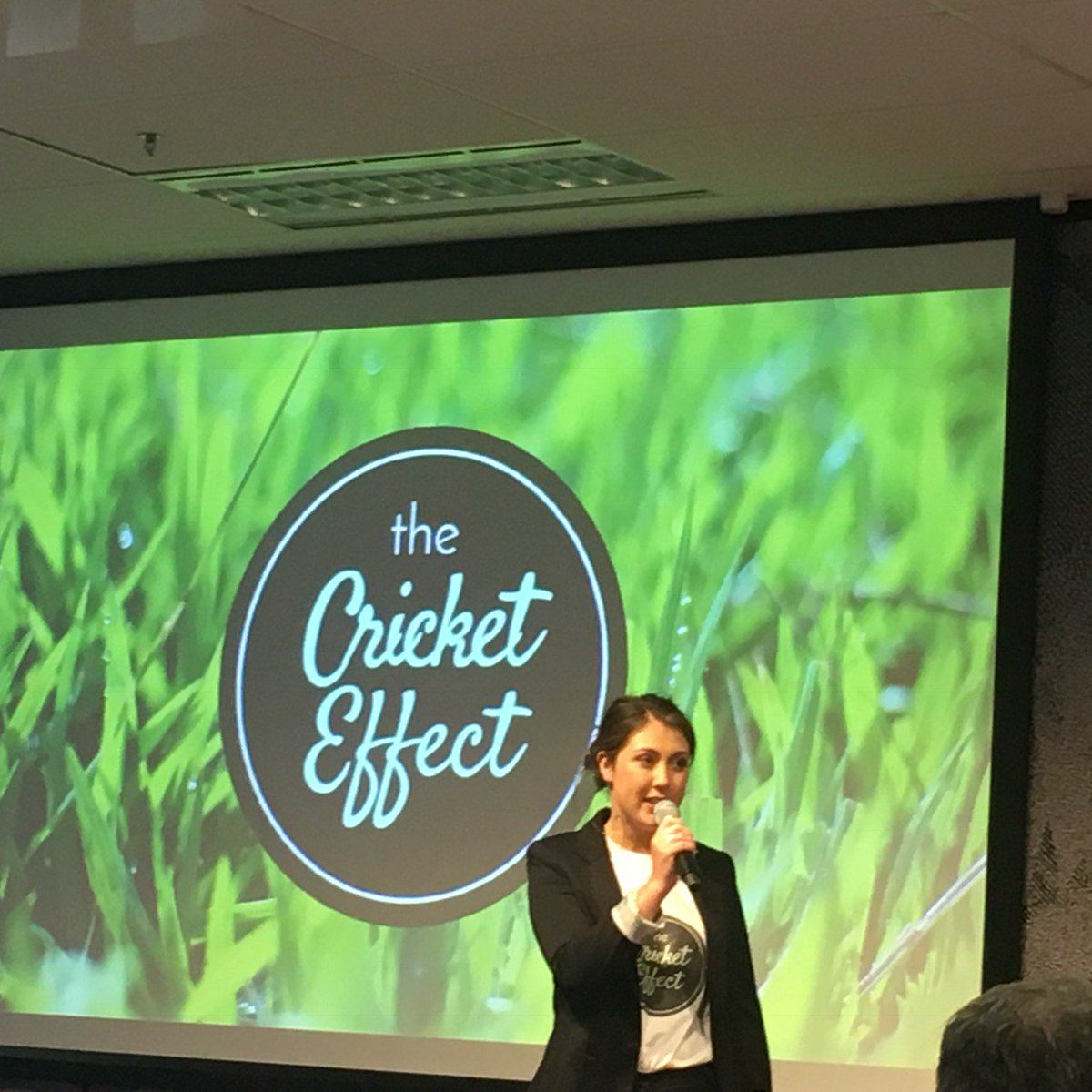 <a href="/CricketEffect/">The Cricket Effect</a> healthy high-energy bars made w/ cricket flour! Good for you &amp; for the environment! #GCLaunchPad