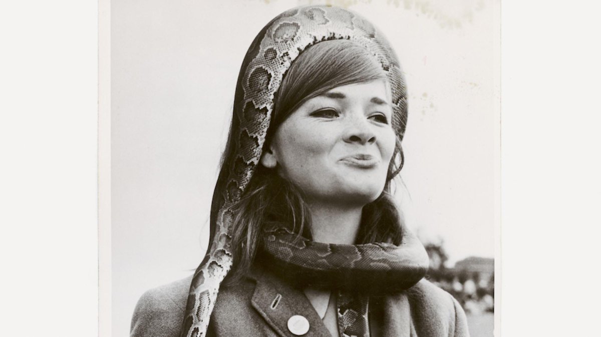 i_D's tweet photo. The strange beauty and horror of girls playing with snakes: https://t.co/bD2iYCOlso https://t.co/K3RFdqs6hy