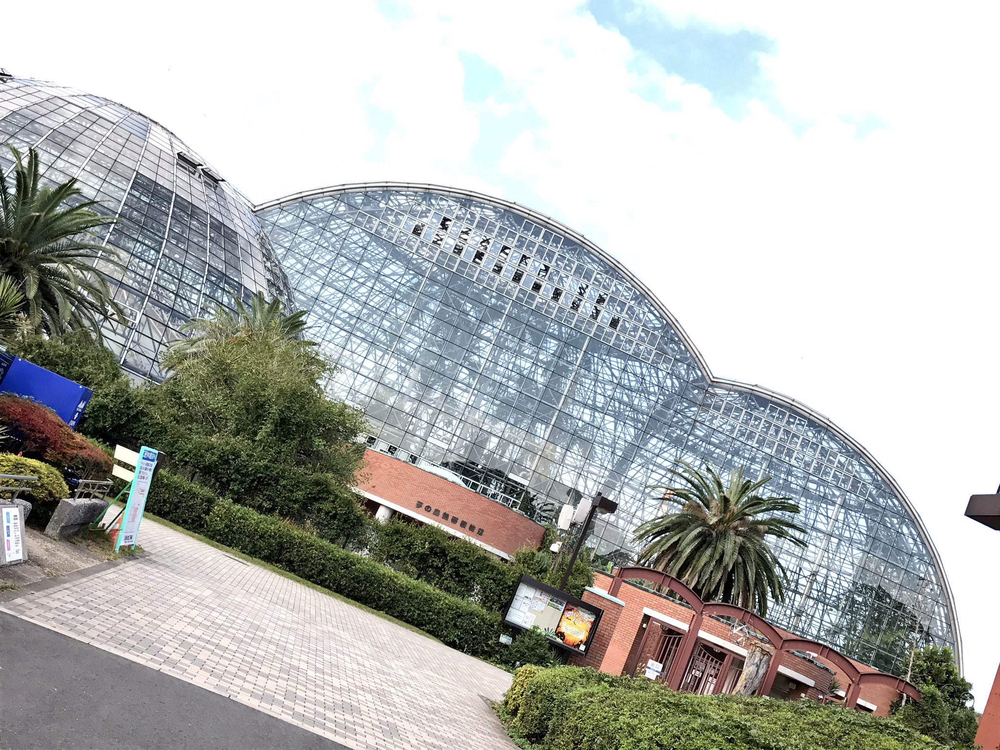 Kaku ポケモン探しの旅 夢の島公園 とにかく樹々の多い公園と言ったイメージ 東京五輪のアーチェリー会場としての工事で入れなかった場所が多かったかな お目当のガーディも確保でき 無事にウインディに進化 まだなんの強化もしてないのにボクの