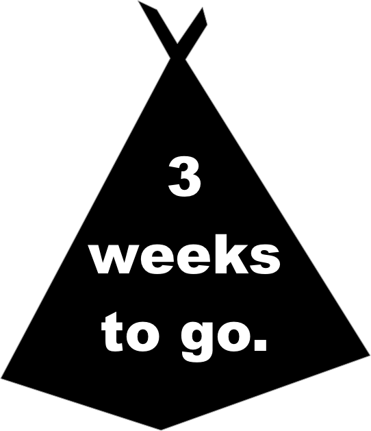 Ready? eventbrite.com.au/e/nscamp-2016-…