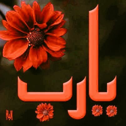 different3013's tweet image. قال الإمام أحمد بن حنبل رحمه الله: اللهم كما صنت وجهي عن السجود لغيرك فصنه عن المسألة لغيرك.