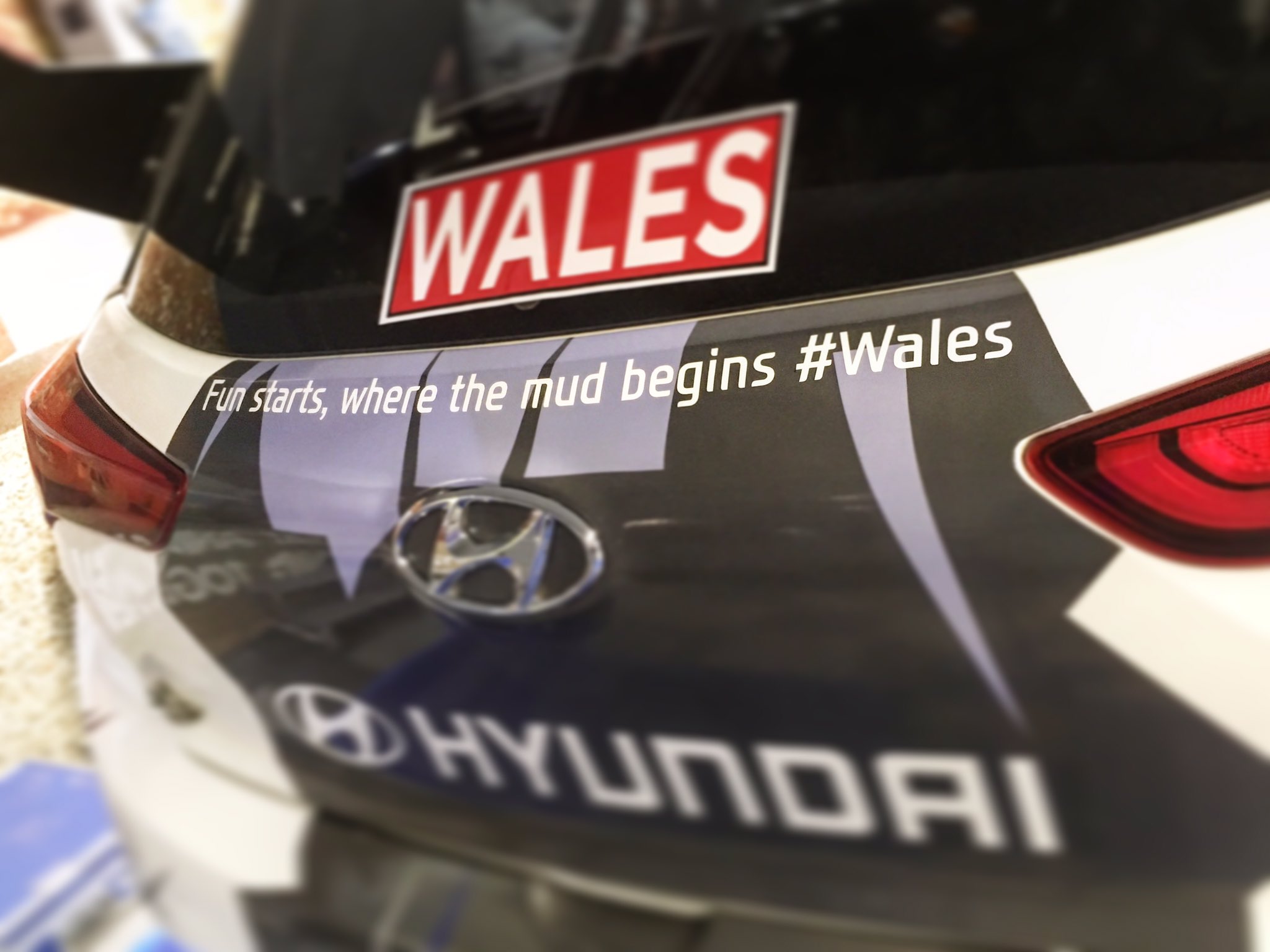 WRC: DayInsure Wales Rally GB [27-30 Octubre] - Página 2 CvwVyoPXEAADw7E