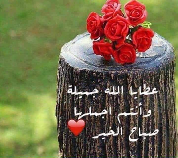 BoSalem_'s tweet photo. https://t.co/RzbMYwK0QY