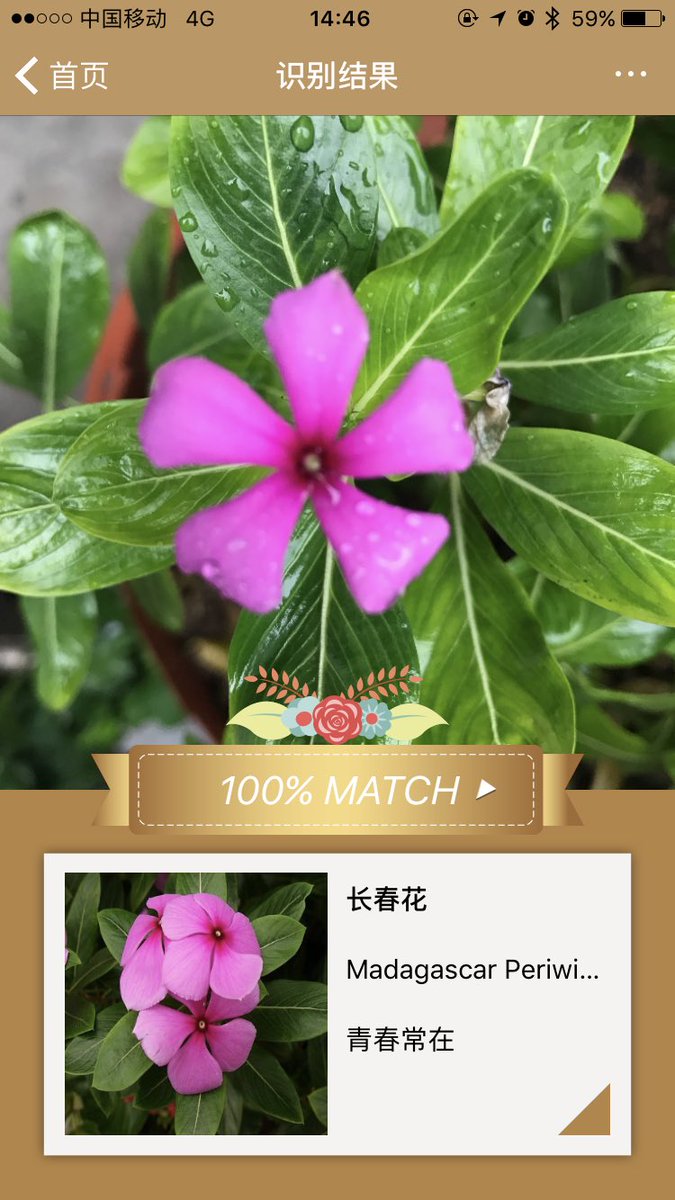 LoJune's tweet photo. 安利一个好玩的软件，识别率特牛！ https://t.co/tjyA2khkd5