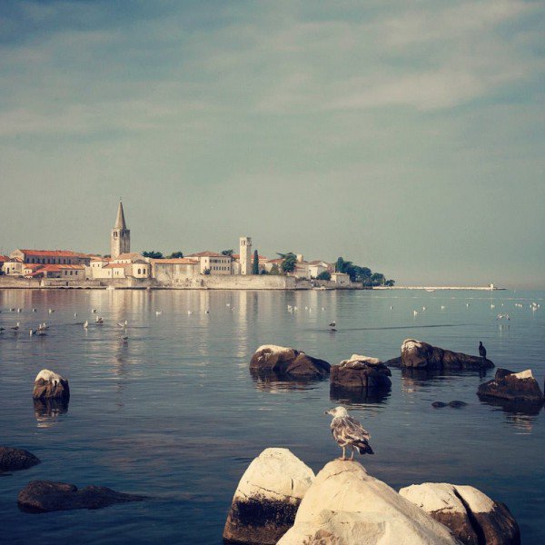 Congrats! #BestSummerTouristDestinationCroatia2016 #Poreč <a href="/Porec_Istria/">Poreč Tourist Office</a> #VisitIstria #CroatianTourismDays2016