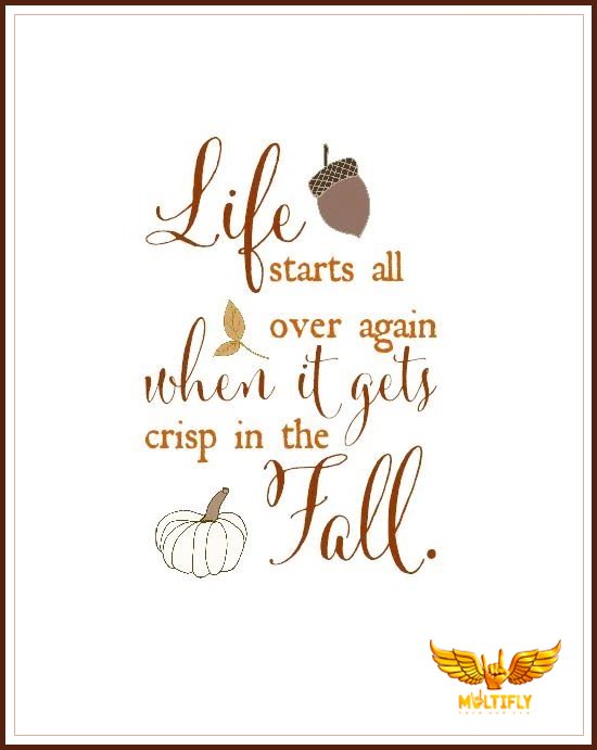 multiflylounge's tweet image. Life starts NOW! #Multifly #MultiflyLounge #Flearn #Feducation #Quote #QuoteOfTheDay #QOTD