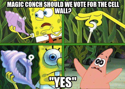 cellwall35's tweet photo. #cellwall4prez https://t.co/6Xjz2EhM6V