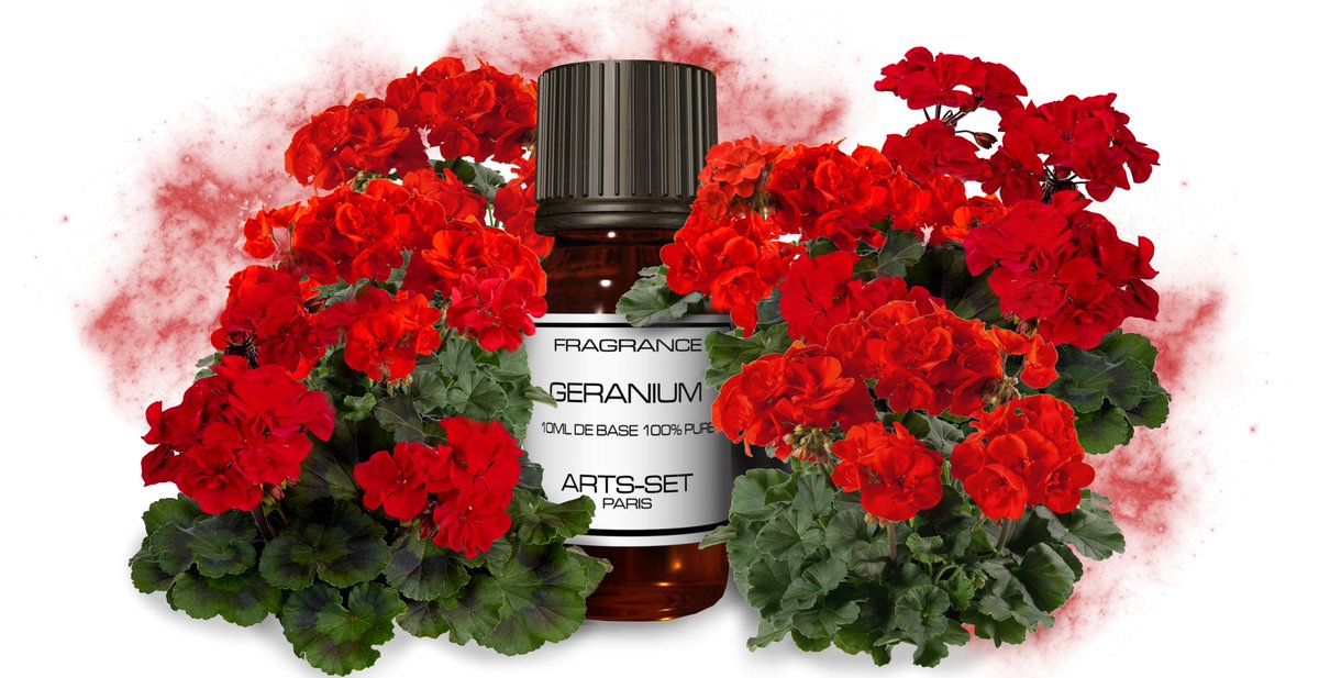 ArtsSetIT's tweet photo. https://t.co/LcoK9BGa0U #fragranza #geranium #ArtsSet https://t.co/2BOJD2E6Ao