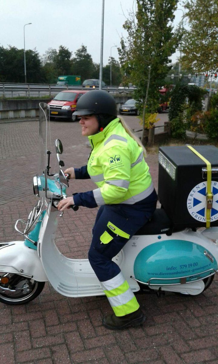 DierenambuGroni's tweet photo. De 1e melding met onze nieuwe #Zerobike scooter is een feit! Collega Lysanne heeft gisteren een gewonde #duif opgehaald. #Totaltrade https://t.co/PkhwGuIlsH