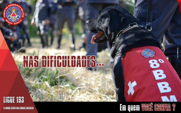 Bombeiros_MG's tweet image. 07h40-Bom dia e uma excelente quinta-feira à todos seguidores @Bombeiros_MG! Plantão de hoje, Sgt Liraine. Sem destaques no momento!
