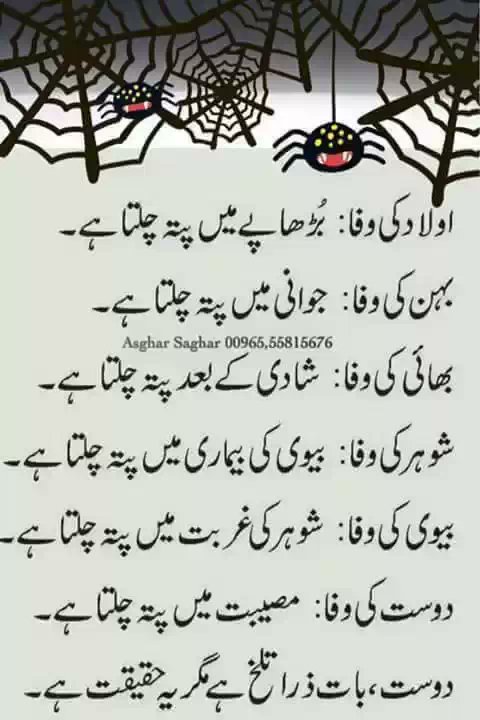 galatabthreev1's tweet photo. @Shehzadi_malka https://t.co/API9qDCKHl