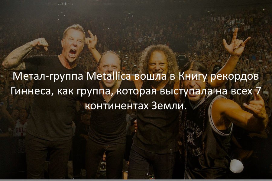 Питерский Илья (@piter98pit) on Twitter photo 