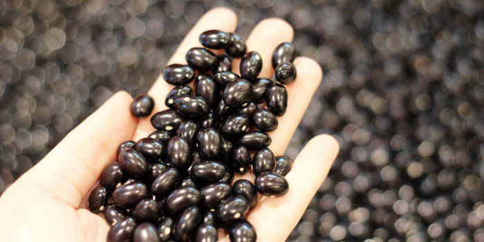 The Loaf Lab tweet media