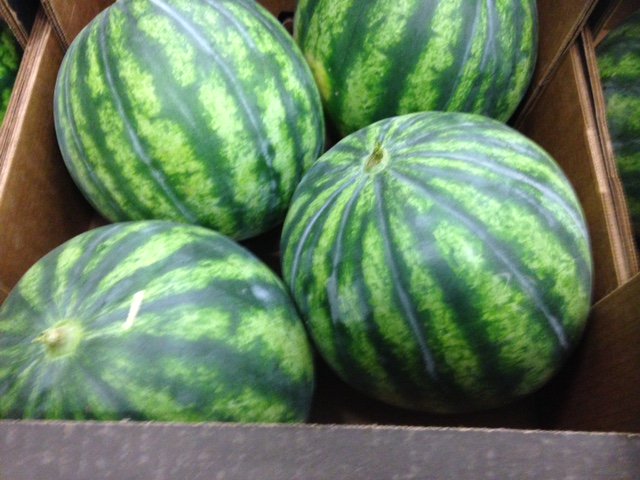 Global Fresh Trade tweet media