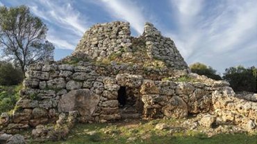 Triangle tweet media