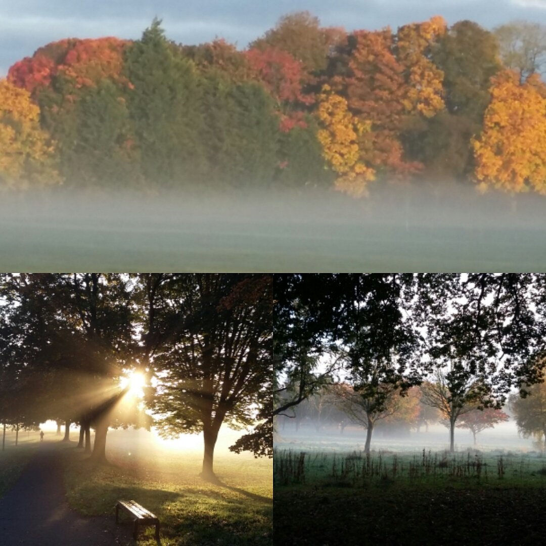 Sidebysidewalks's tweet photo. The office was stunning this morning https://t.co/uPz8Lsjvmj