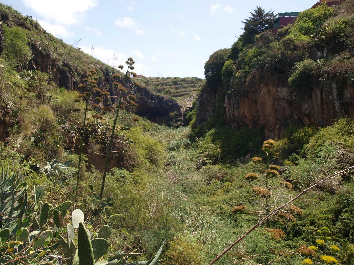 TurismoTegueste's tweet photo. El día 5 de noviembre vistiamos el Barranco Agua de Dios. Te vienes? 
Inicio: Plaza San Marcos. 9:30h.
Dificultad: Baja 
5 €
Info: 922316102 https://t.co/7Gvlwdgdh0