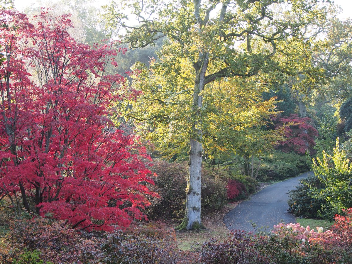 Beautiful photos taken around the gardens this morning, courtesy of one of our super volunteers.