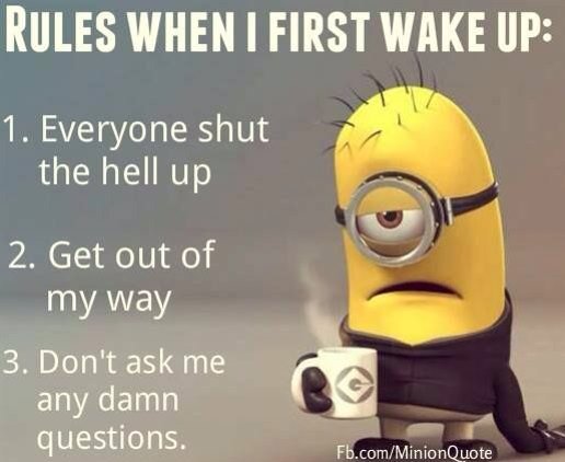 cocodivaslay's tweet photo. GOOD MORNING EVERYONE... have a great blessed day! Found this pic. I LOL so hard. Hope I don't offend. #CoffeeHugs😃☕ https://t.co/ES3SuHms8u