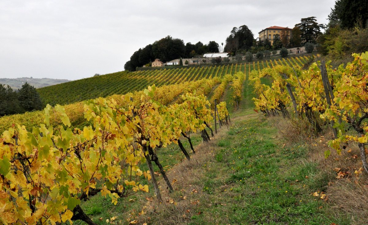info_berardenga's tweet photo. Domenica 30 ottobre, ultimo appuntamento con #VilleAperte nel #chianti al parco della Villa di Monaciano.
per info: https://t.co/wnsiHEpT9Q https://t.co/8yRcOveXrZ
