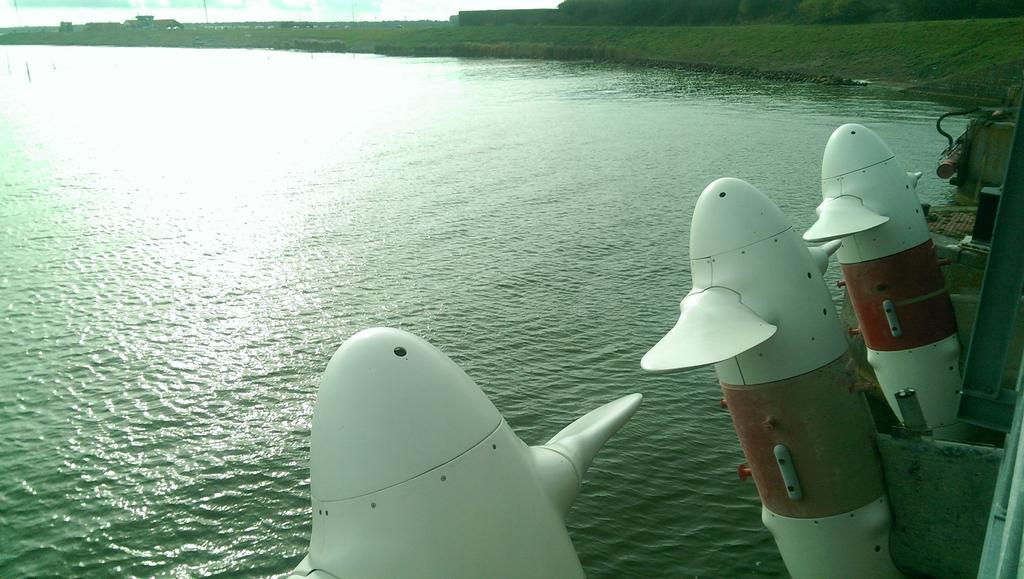 Wouter de Buck tweet media