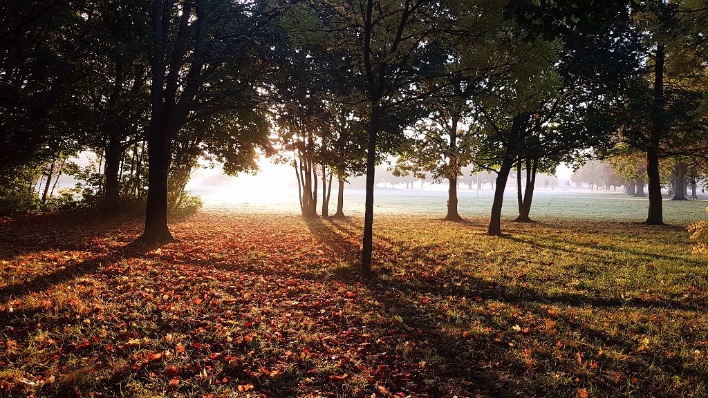 cardiffmet's tweet photo. Stunning autumn photo by @HuwMetCaerdydd of Llandaff Fields this morning at #CardiffMet 📷 https://t.co/0r73DZfySi