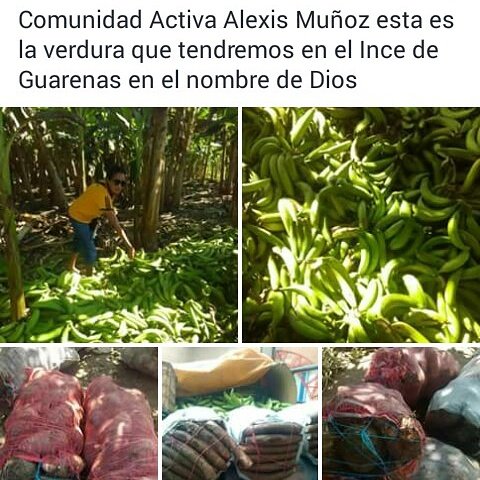 Alexis Muñoz C. A 1 tweet media