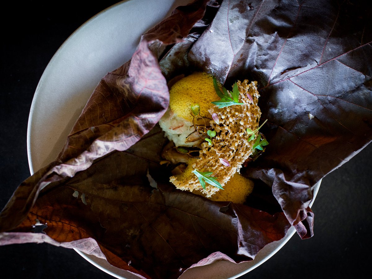 hellobaliguide's tweet photo. [REVIEW] - @BLANCOparMandif: A New Wave Indonesian Delight
Full review: https://t.co/8IvPrAvLoR #ubud #uwrf16 https://t.co/pFE0iStVUd