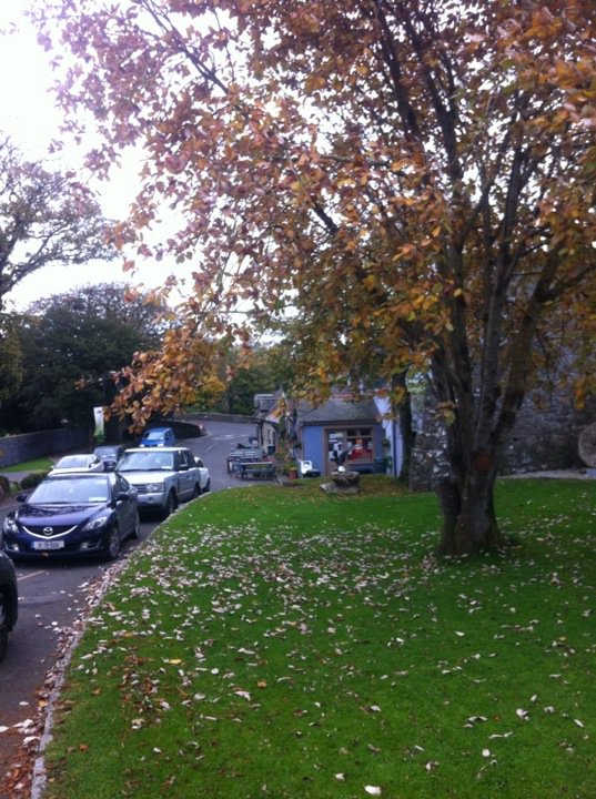 @bikeparkireland <a href="/hilitetv/">Brian Walsh</a> <a href="/SuzanneHilitetv/">Suzanne Butler</a> <a href="/RTENationwide/">RTÉ Nationwide</a> filming in lovely Terryglass for Nationwide