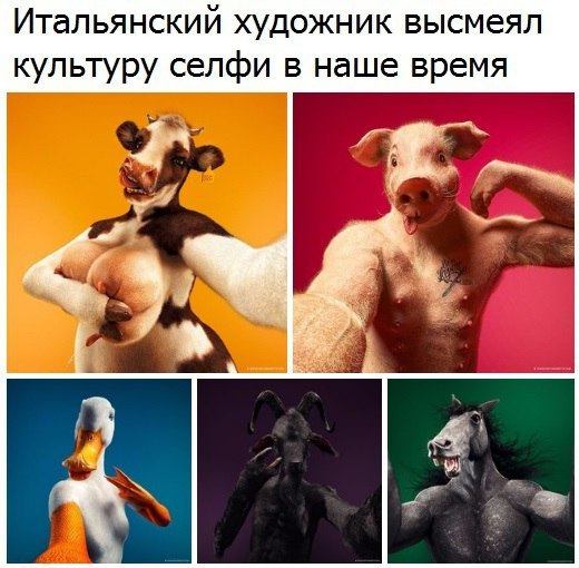 селфи