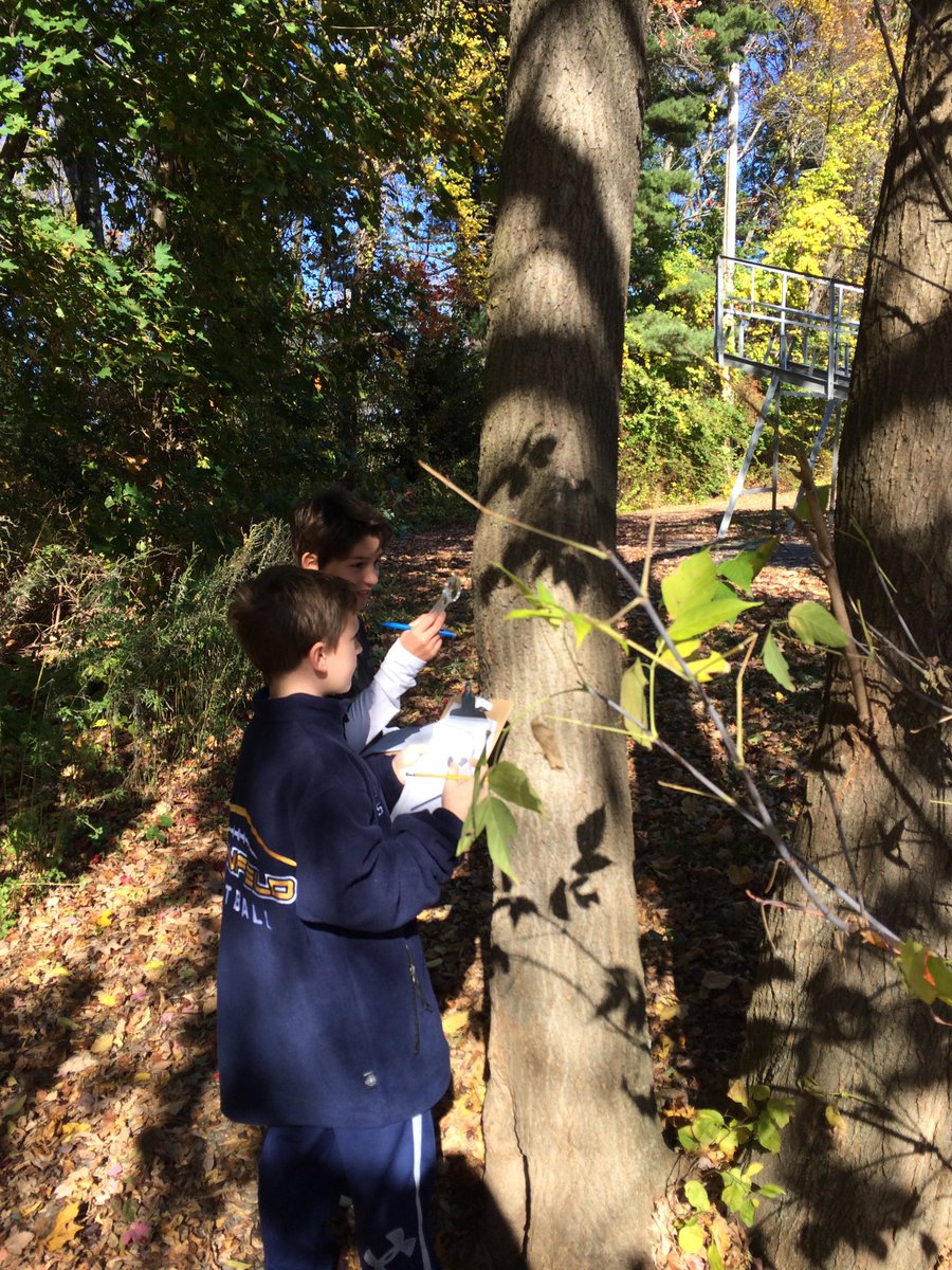 ColonnaLms's tweet photo. Mindful nature walk! #thingswelearnfromdarwin #naturalists #grade6science @LynnfieldMS @STEM_LMS @LPS_Tremblay @MrTSallee https://t.co/UrFqJoitFr