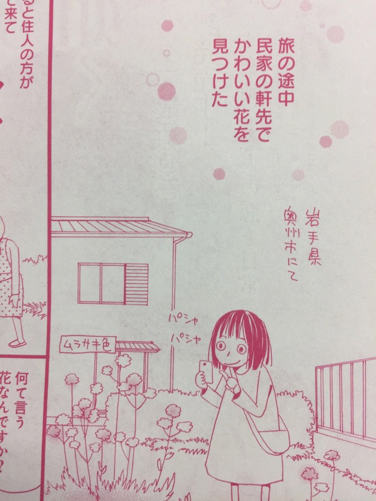 【メロディ12月号・明日28日発売♪】六本木綾『ベランダ絵日記帖』掲載☆今号は「シダ恐怖症」「キリン草」の2本立てだよ♪ 