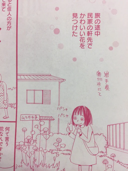 【メロディ12月号・明日28日発売♪】六本木綾『ベランダ絵日記帖』掲載☆今号は「シダ恐怖症」「キリン草」の2本立てだよ♪ 